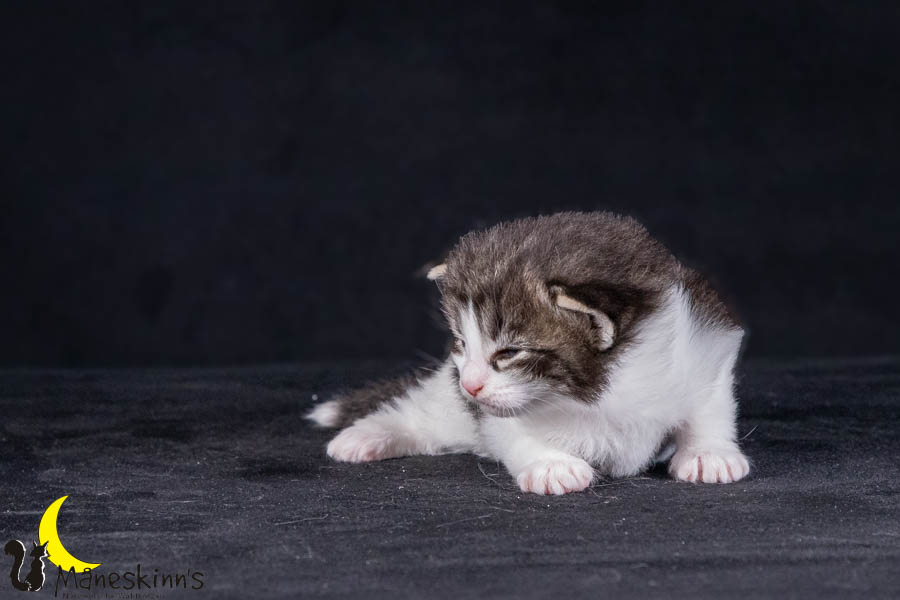 Wilma (21 Tage alt)