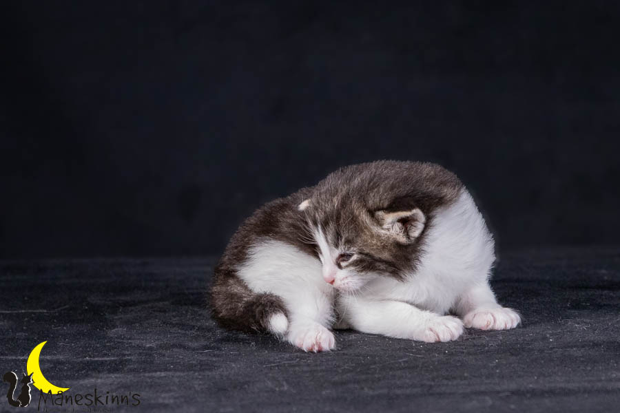 Wilma (21 Tage alt)