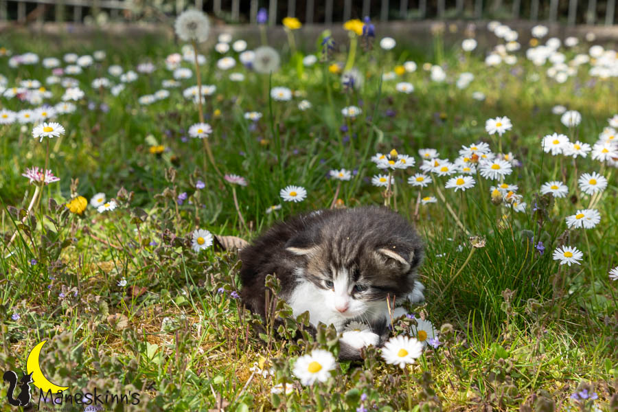 Wilma (29 Tage alt)