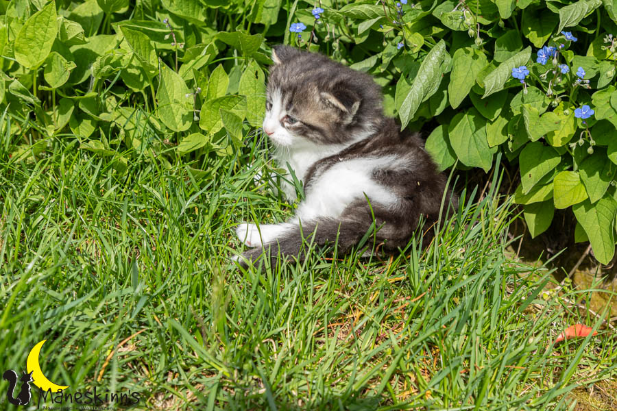 Wilma (29 Tage alt)