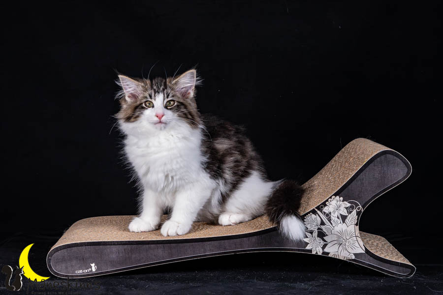 Wilma (91 Tage alt)