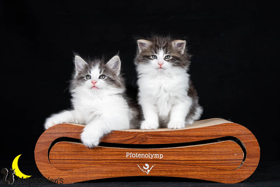 Waldur & Wilma